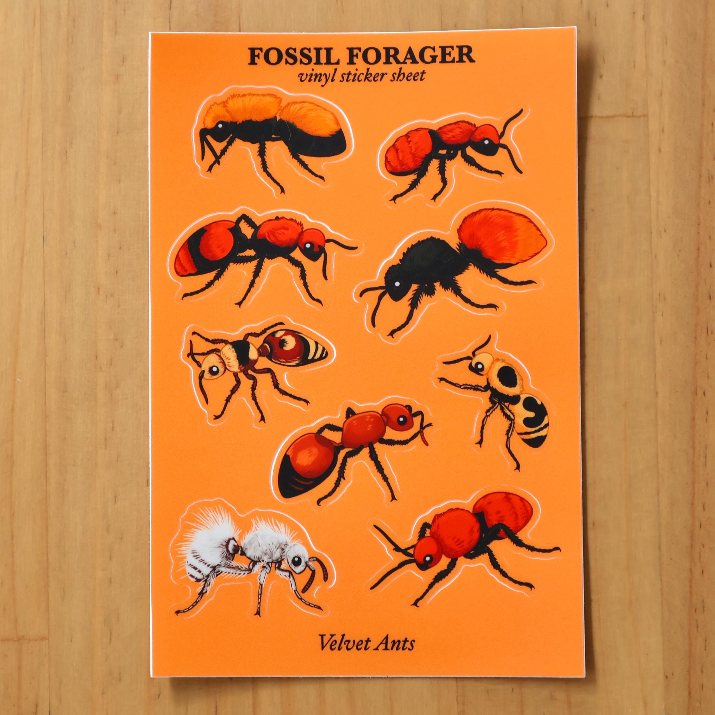 Velvet Ants Sticker Sheet / Wasps / Vinyl Sticker / Laptop Sticker ...