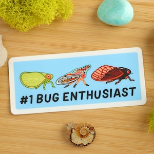 Number 1 Bug Enthusiast Sticker / Entomology / Entomologist / Bug Lover / Insect Sticker / Vinyl Sticker