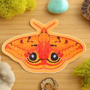 Io Moth Sticker / Insect Sticker / Entomologist / Entomology / Vinyl Sticker