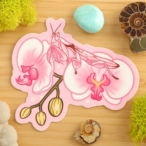 Orchid Mantis Sticker / Insect Sticker / Entomologist / Entomology / Vinyl Sticker