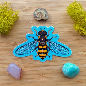 May include: A blue and white sticker featuring a detailed illustration of a hoverfly with yellow and black stripes. The hoverfly is depicted with its wings spread out.
