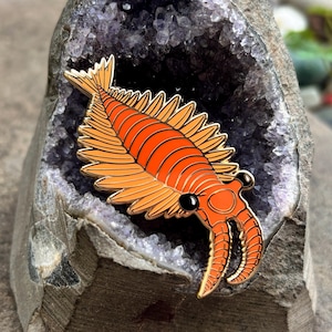 May include: An orange and gold trilobite pin with black eyes and a detailed design. The pin is set against a backdrop of a purple geode, creating a striking contrast. The pin is a unique accessory.