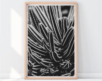 Cactus Print, Black and White Print, Nature Photography, Black and White Cactus Art, Nature Wall Art, Black and White Decor