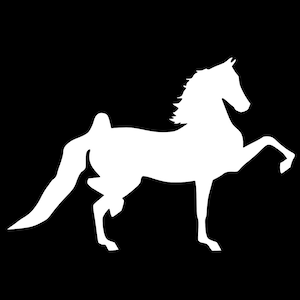 Personalized Trotting Show Horse Car Decal