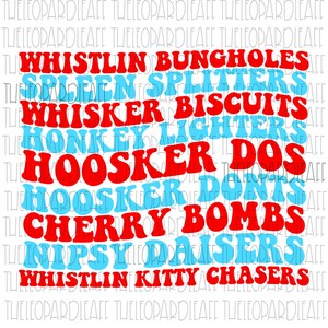 Whistlin Bungholes, Joe Dirt, 4th of July, Independence day, funny DIGITAL DESIGN **PNG file for Sublimation**