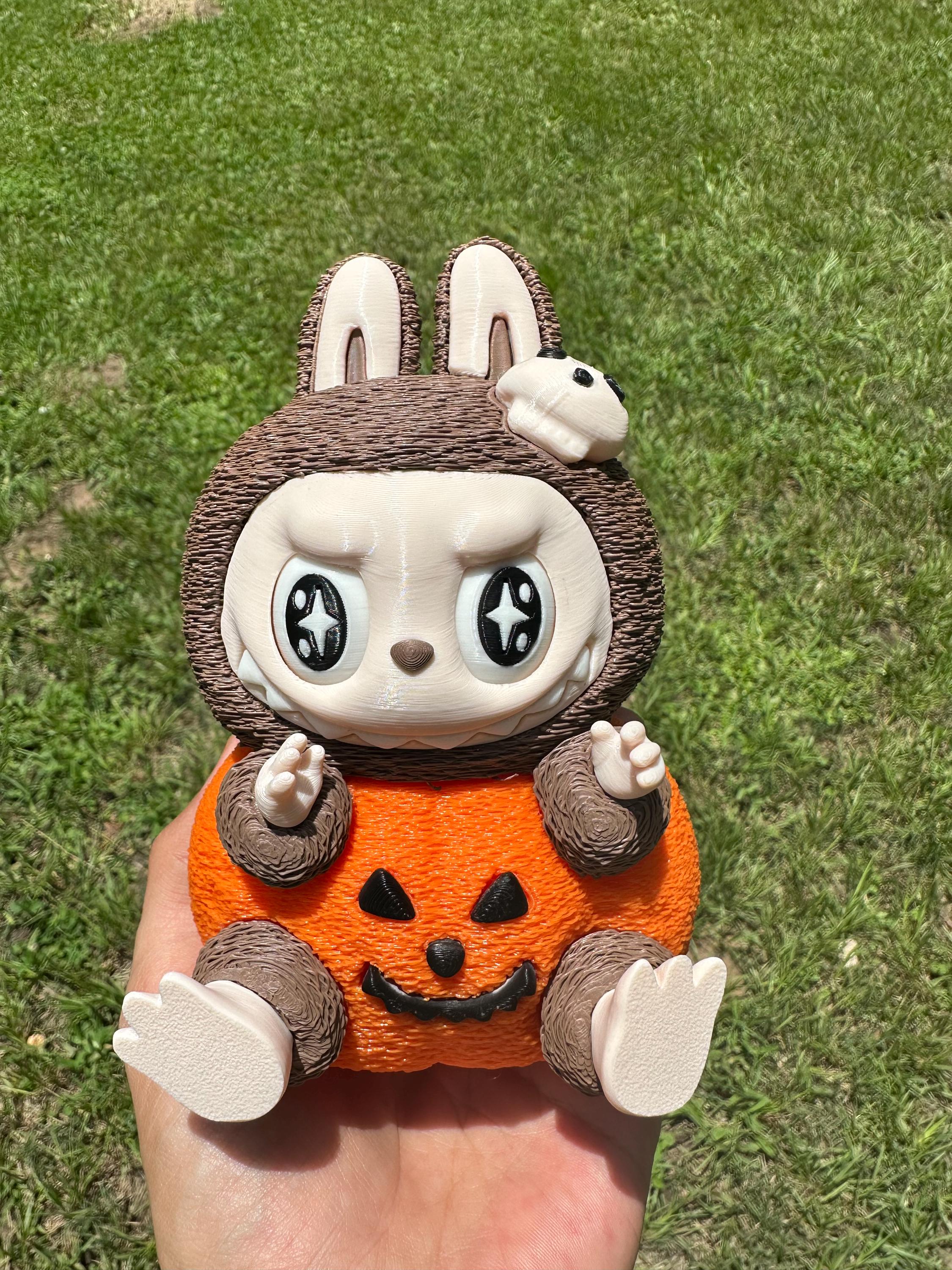 LABUBU × PRONOUNCE &amp; ハロウィン Pumpkin 2個セット 2265737_ab0cc6730729c9ccec7654