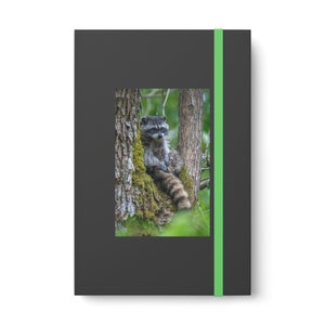 Color Contrast Notebook - Ruled