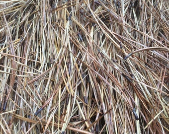 Dried Pine Needles Loose 4oz or 8oz