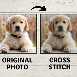 Custom Cross Stitch Pattern, Customizable Cross Stitch Pattern, Convert Your Photo To Cross Stitch
