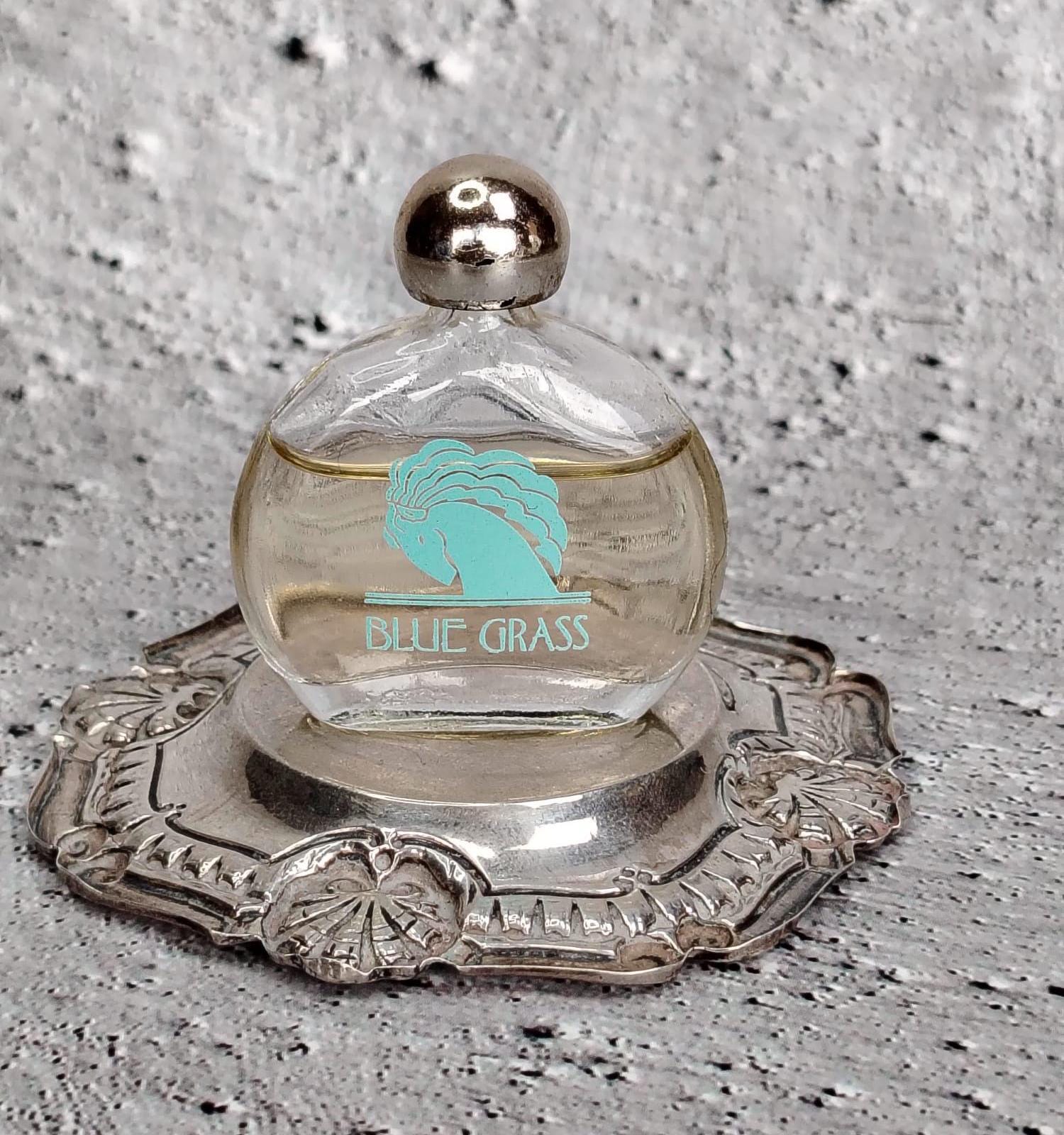 Collectible Arden - Etsy Singapore