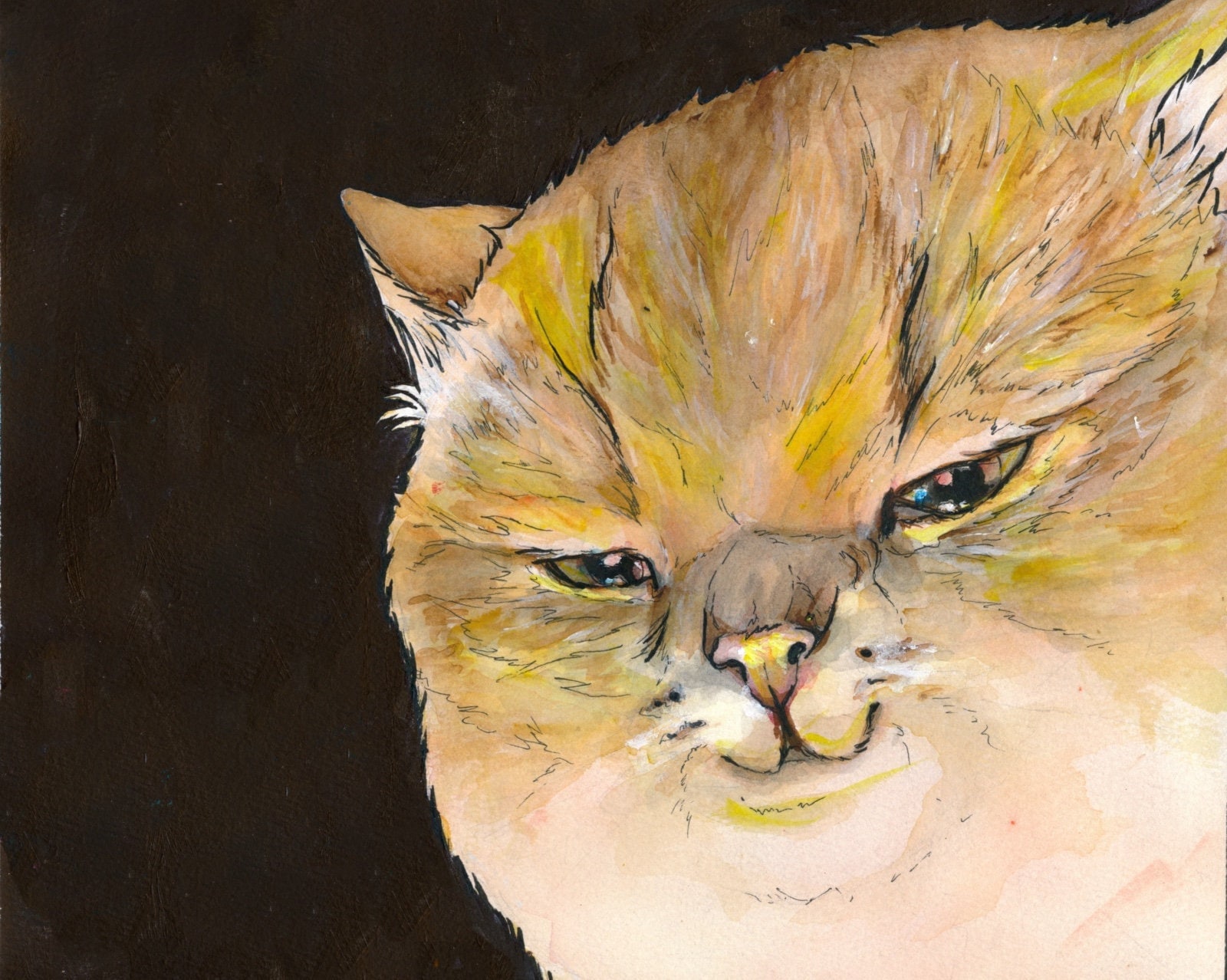  Mimik Smiling Fat Cat Diamond Painting,Paint by