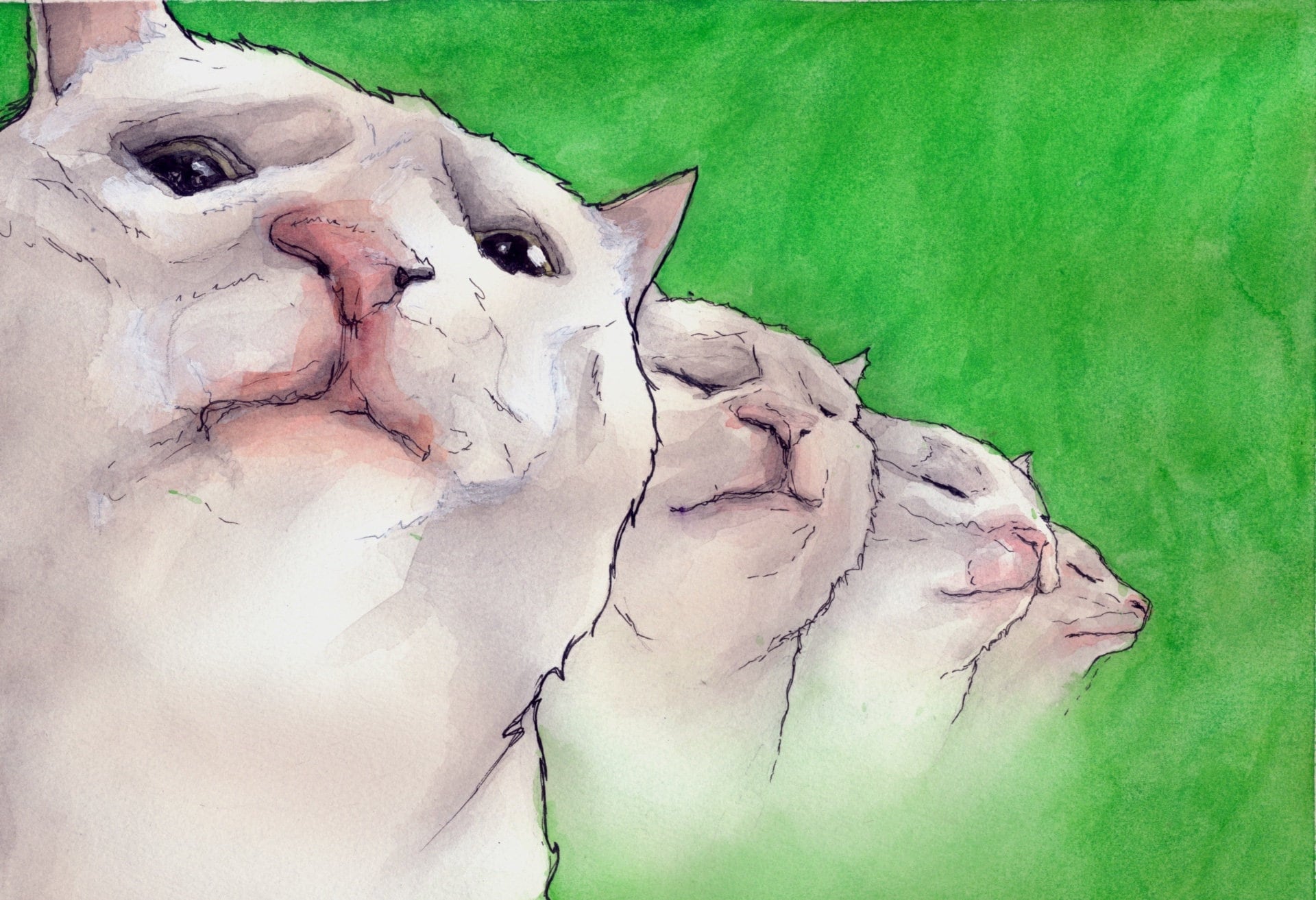 Vibing Cat Meme Watercolor Painting of the Dancing Cat Etsy