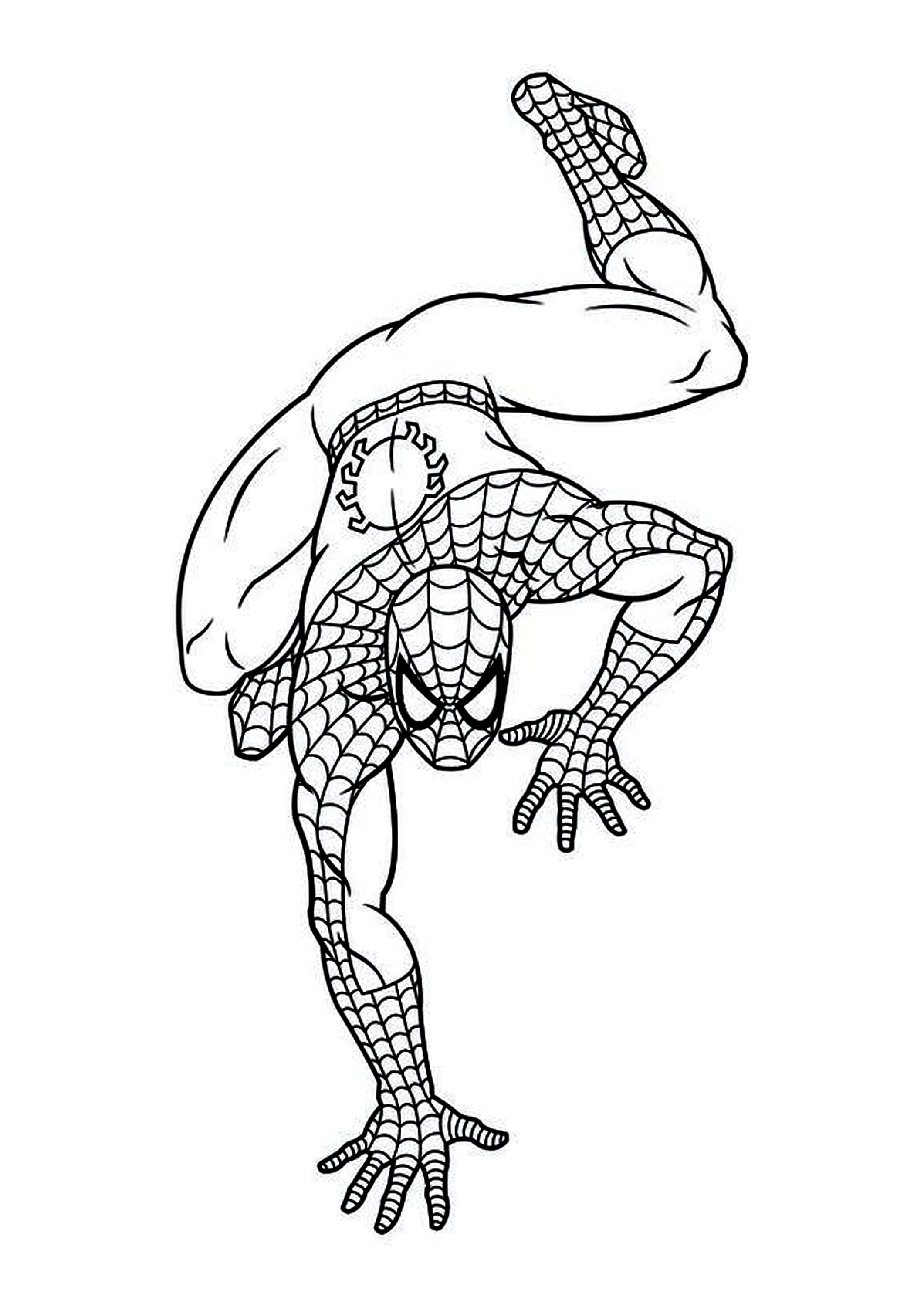 Spiderman / 4th of July Coloriage spiderman pour enfant