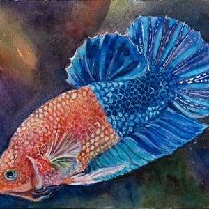 Printable file: Watercolor / Siamese fighting fish red-blue / betta fish / fish / aquarium / digital print / poster print