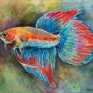 Printable file: Watercolor / Siamese fighting fish / betta fish / fish / zodiac sign Pisces / aquarium / digital print / poster print