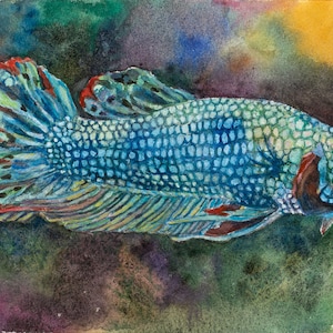 Watercolor &quot;Siamese fighting fish, female, turquoise&quot; / &quot;female betta fish, turquois&quot;