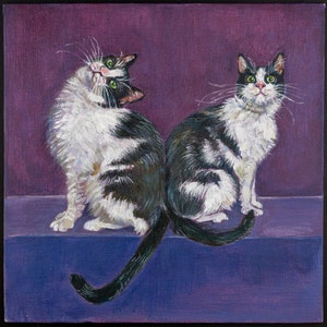 Könnte beinhalten: Zwei schwarz-weiße Katzen mit grünen Augen sitzen nebeneinander auf einer violetten Oberfläche. Die Katze links schaut nach rechts und die Katze rechts schaut geradeaus.