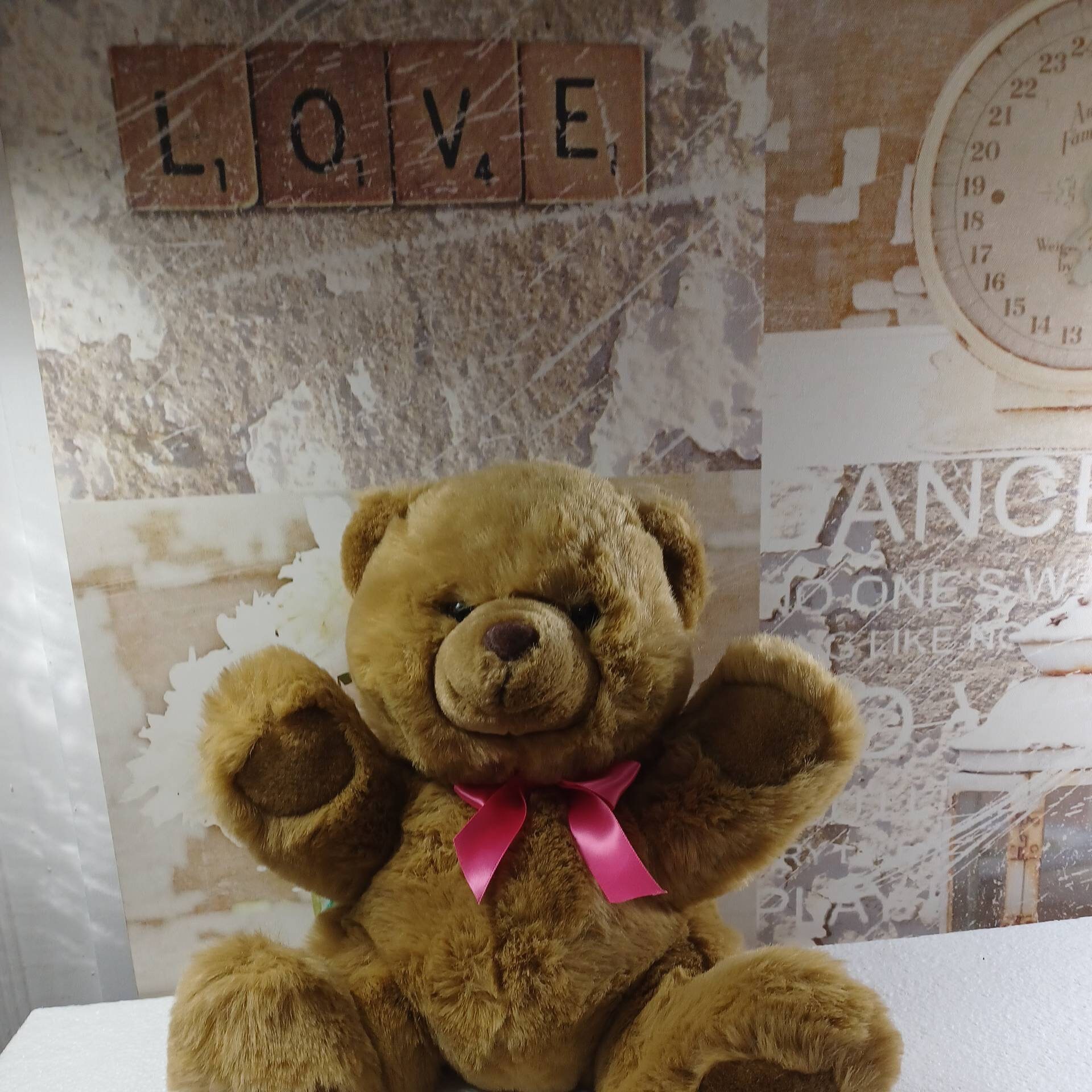 Westcliff collection teddy bear new arrivals