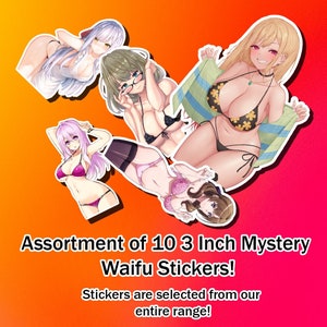 Mystery Assortment Lewd Ecchi Anime Waifu Stickers | VINYL ONLY |
