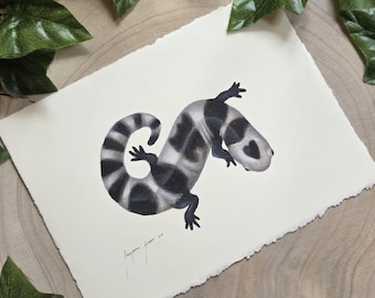 Wildlife Salamanders and Newts Illustrations for Nature Themed Home Decor || Hand-Drawn & Signed by the Artist