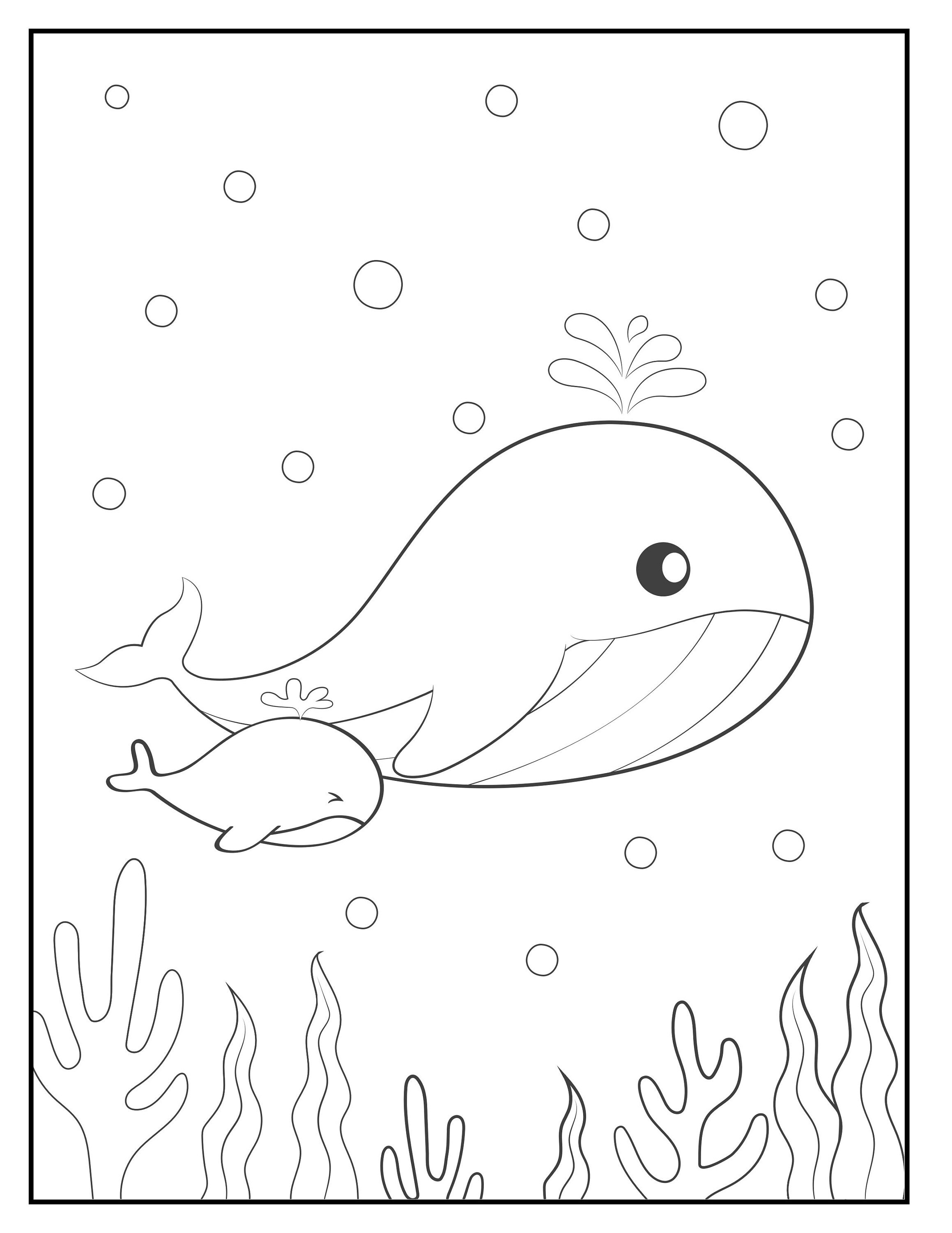 Children's Animal Themed Coloring Book Etsy