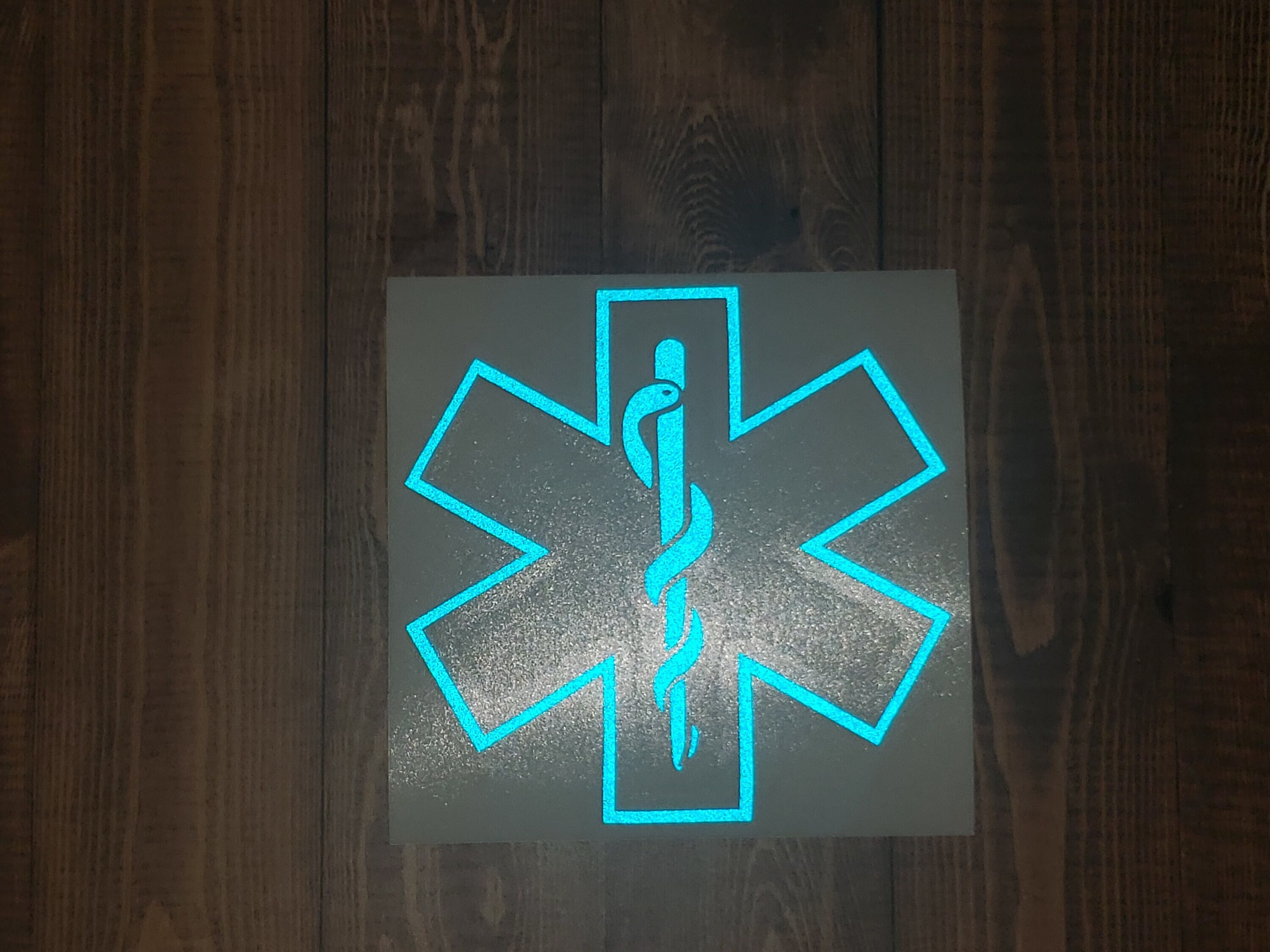 EMT Star Of Life Rettungsdienst Äskulapstab 3D Metall Button Pin Anstecker 0543