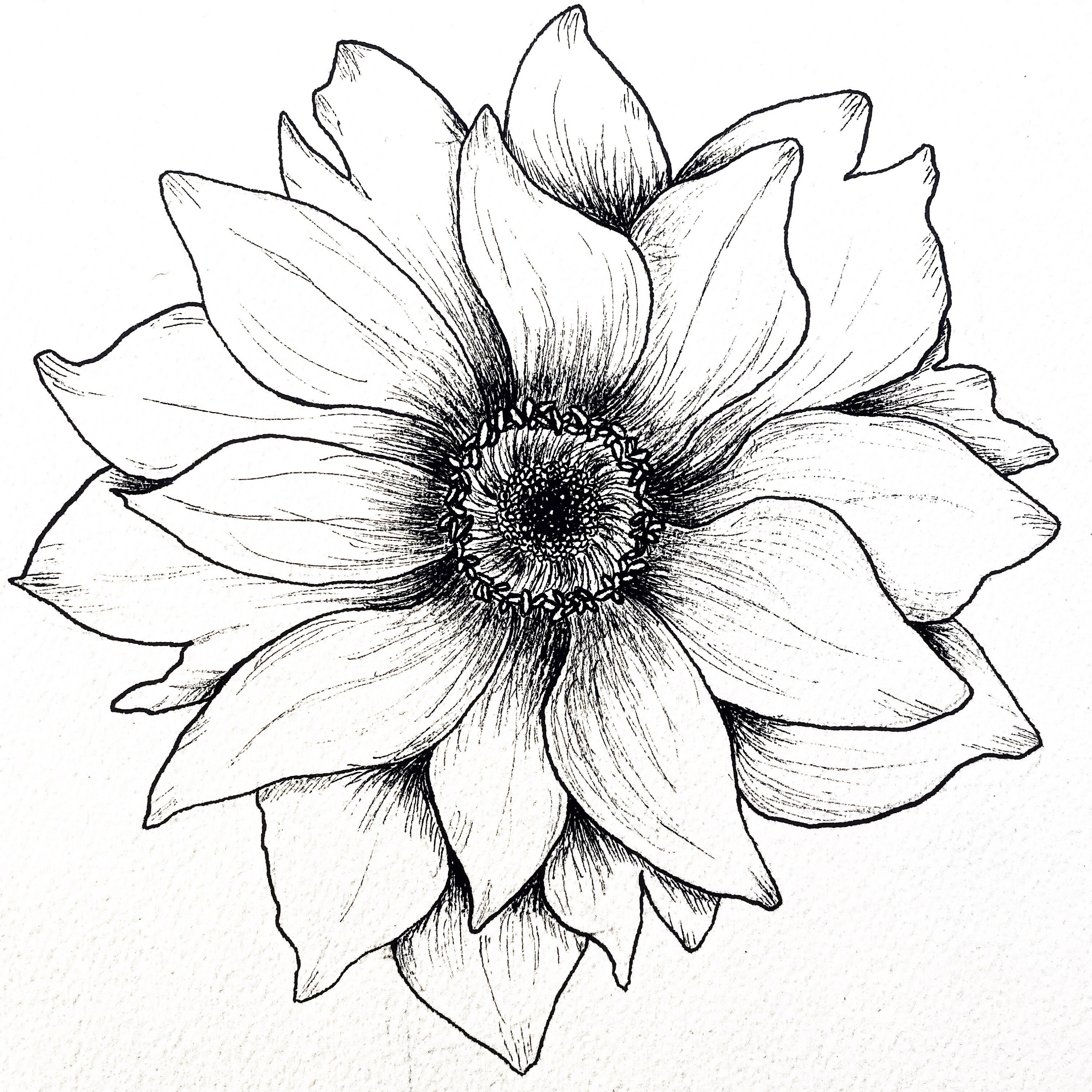 Original Commission Watercolor Paintings Etsy