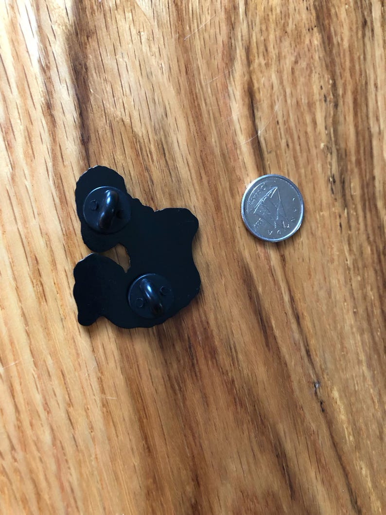 May include: Black enamel pin with two pin backs, next to a silver coin. The pin has a unique shape. The coin is a quarter. The pin and coin are on a wooden surface.