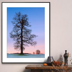May include: A framed photograph of a lone tree silhouetted against a blue and pink sky. The tree is bare and has many branches. The ground is covered in frost. The photograph is in a black frame and is hanging on a wall.