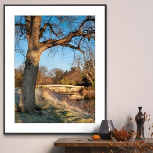 May include: A framed photograph of a stone bridge over a body of water. The bridge is surrounded by trees with bare branches. The water is calm and reflects the sky. The photograph is in a black frame and is hanging on a wall.