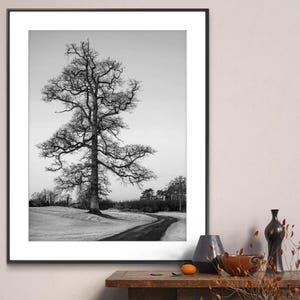 May include: A black and white photograph of a lone tree in a field with a winding road leading away from the tree. The tree is bare and the road is covered in snow. The photograph is framed in a black frame.