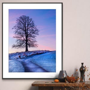 May include: A framed photograph of a lone tree silhouetted against a purple and blue sky. The tree is on a hill with a path leading away from it. The ground is covered in frost.