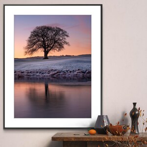 May include: A framed photograph of a lone tree in a field with a reflection in a still body of water. The sky is a gradient of pink and purple. The field is covered in frost and the water is a dark blue.
