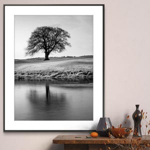 May include: A black and white photograph of a single tree in a field with a reflection in a body of water. The tree is in the center of the image and is surrounded by a grassy field. The water is calm and reflects the tree and the sky. The photograph is framed in a black frame.
