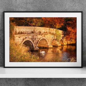 Printable Maynooth Kildare Ireland Photography Poster - Swan by a Stone Bridge - Digital Download Wall Art