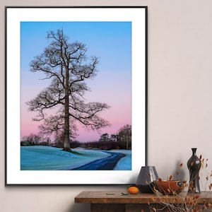 May include: A framed photograph of a lone tree in a field with a winding road leading into the distance. The sky is a gradient of pink and blue, and the ground is covered in frost. The tree is bare and its branches are silhouetted against the sky.