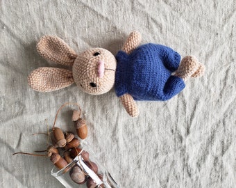 Crochet Rabbit Hare Toy, Plush Bunny, Rabbit in Onesie, Amigurumi Bunny, Baby's First, Easter Bunny Rabbit Hare, Mother's Day Gift