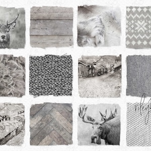PNG monocromatici scandinavi - Texture Scandi - Alci monocromatiche - Cervo in bianco e nero - Pelliccia di renna - Case norvegesi - Legno sbiancato