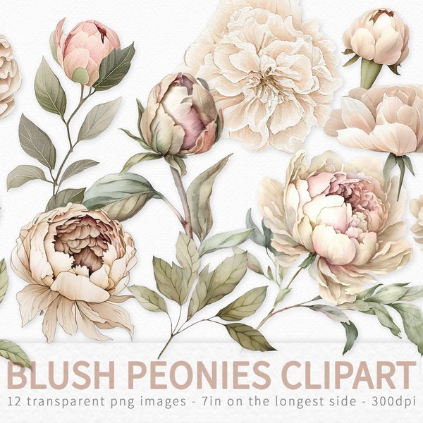 Blush Peonies Clipart - Watercolor Peony PNGs - Peony Clipart PNGs on Transparent Backgrounds - PNG Printable Peonies - Watercolor Flowers