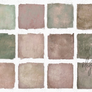 Kaktus Rose Textur PNGs - Wüstenblume Farbige Hintergründe - Pastell Hintergründe - Pastell Hintergründe - Pastell Grunges - Strukturierte Hintergründe