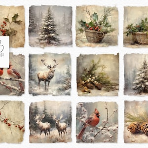 Può includere: Una collezione di dodici immagini quadrate ad acquerello con un'estetica vintage. Le immagini raffigurano scene invernali, tra cui alberi innevati, cervi, uccelli, agrifoglio e pigne. La tavolozza dei colori è tenue, con morbidi blu, verdi e marroni.