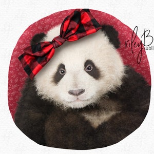 Valentine Panda Bear met Red Plaid Bow Sublimation PNG - Valentijnskaart met en zonder Tekst png - Valentine Onesie - Panda Bear Onesie