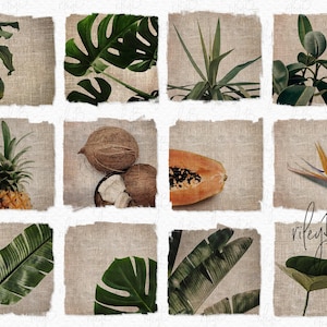 Texturas de lino tropical PNGs - Plantas tropicales sobre fondos de lino - Frutas tropicales - Imágenes digitales tropicales - Fondos tropicales rústicos