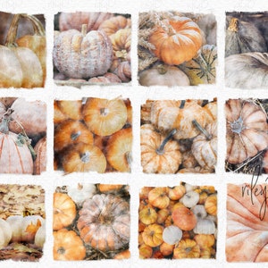 Pumpkin Watercolors PNGs - Autumn Pumpkins Textures - Fall Backgrounds - Autumn Watercolors - Sublimation Pumpkins - Fall Watercolors
