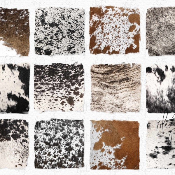 Nguni Cattle Hide Textures II PNGs - Cowhide Backgrounds - Brown and White Cowhide - Black and White Hides - Sublimation Cowhides