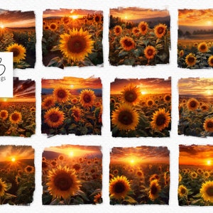 Sunrise Sunflowers Oil Painting PNGs - Field of Sunflowers - Digital Field of Sunflowers - Sunflower Landscape Painting - Sunflower Art PNGs