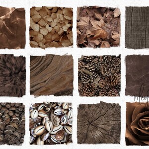 Browns in Nature PNGs - Texturas marrons - Fundos marrons - Texturas florais marrons - Estética marrom - Mármore marrom