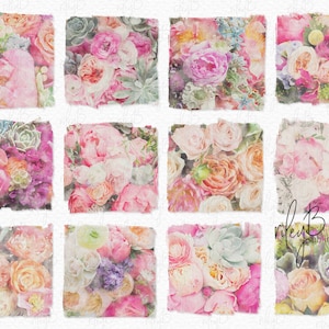 Blumen Aquarell PNGs - Blumen Sublimation PNGs - Aquarell PNG Texturen - Blumen Aquarell Hintergründe - Rosa Blumen PNGs