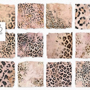 Rodnande leopard-PNG:er - Leopardmönstertexturer - Slitna rodnande leopardmönstertexturer - Leopardmönster och ljusrosa bakgrunder