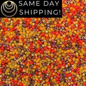 May include: A close-up shot of a pile of small, colorful beads. The beads are a mix of red, orange, yellow, and brown, creating a vibrant and textured surface. The image includes the text "SAME DAY SHIPPING!" in a black rectangle.